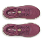 Saucony Echelon 10 Løpesko Dame Terra Almond