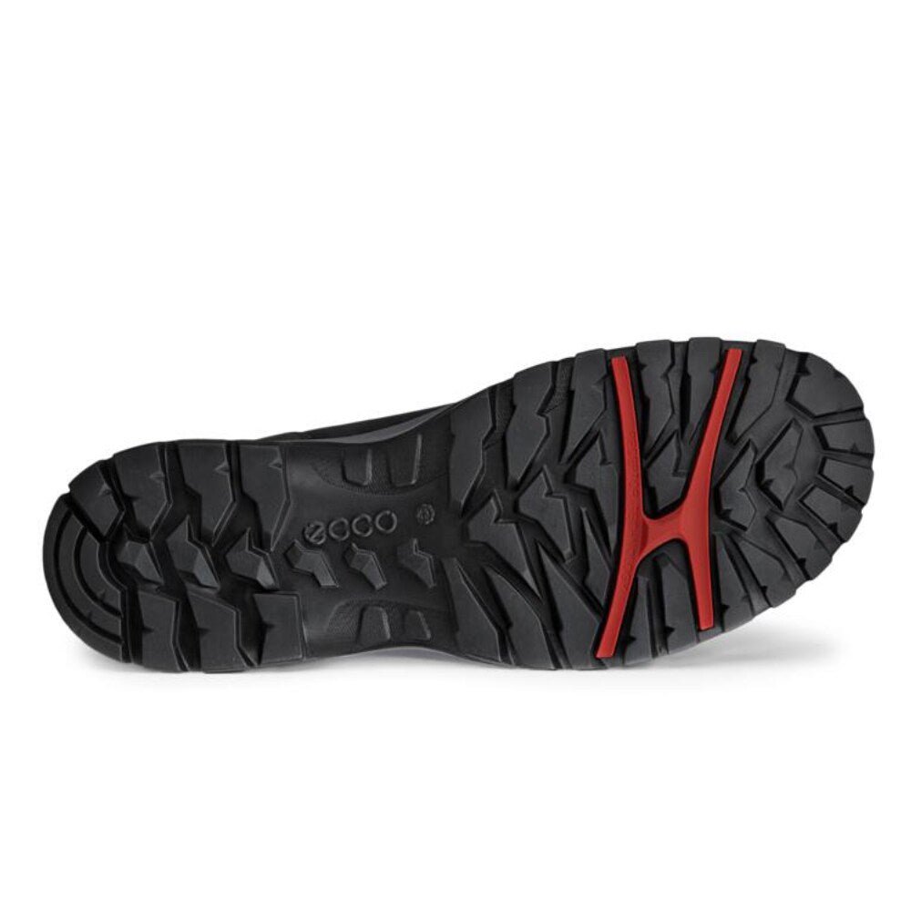 ECCO Xpedition III Vanntette Varmfodrade Herre Black